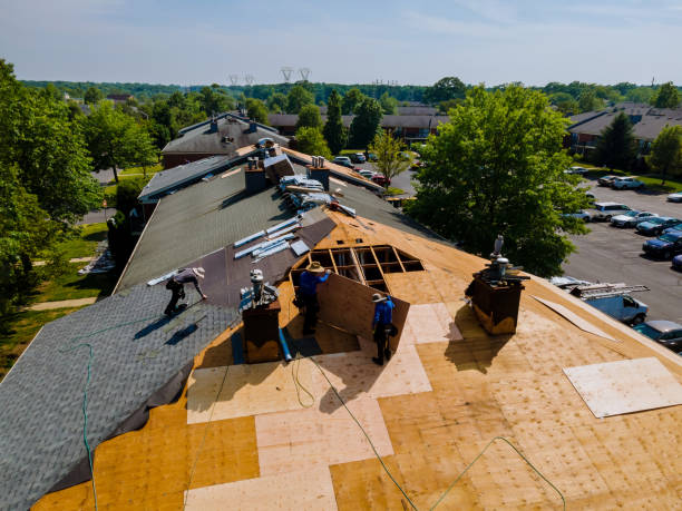 Best Roof Gutter Cleaning  in Park River, ND