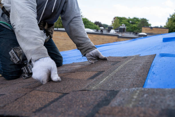 Best Slate Roofing Contractor  in Park River, ND