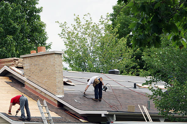 Best Tile Roofing Contractor  in Park River, ND