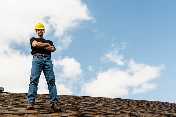 Best Roof Replacement Cost  in Park River, ND