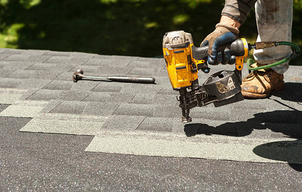 Best Flat Roof Repair Services  in Park River, ND