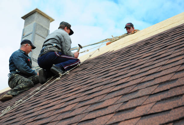Best Local Roofing Companies  in Park River, ND