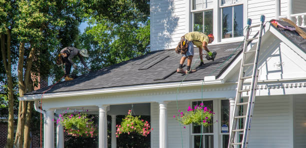 Best Roof Repair Services  in Park River, ND