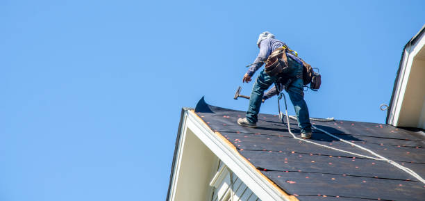 Best Shingle Roofing Installation  in Park River, ND